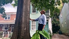 WhoWeAreAChronicleofRacisminAmerica_thumb.jpg