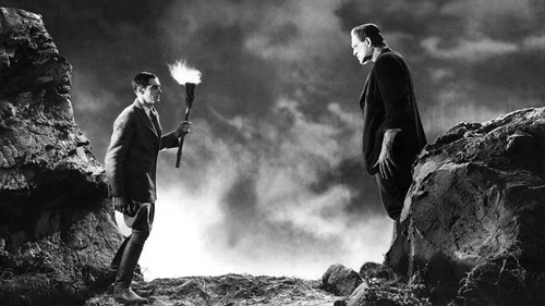 frankenstein-1200-1200-675-675-crop-000000_thumb.jpg