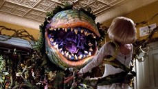 little-shop-of-horrors-watching-videoSixteenByNineJumbo1600-v2_thumb.jpg