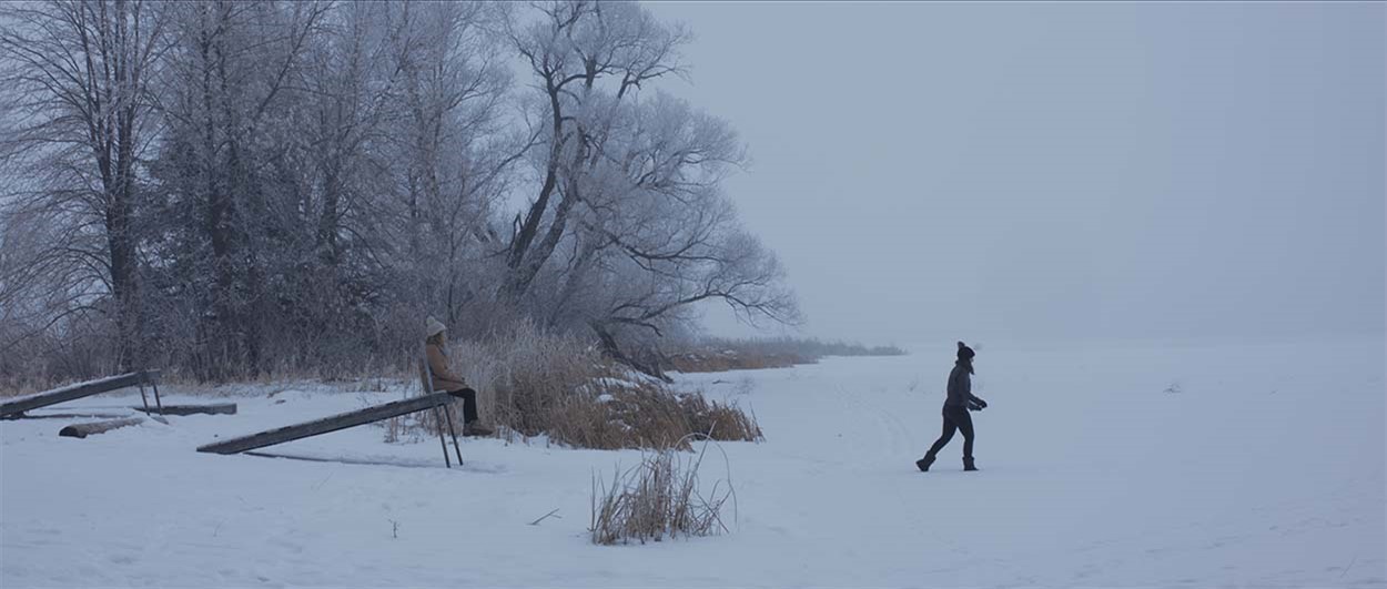 Icerus 