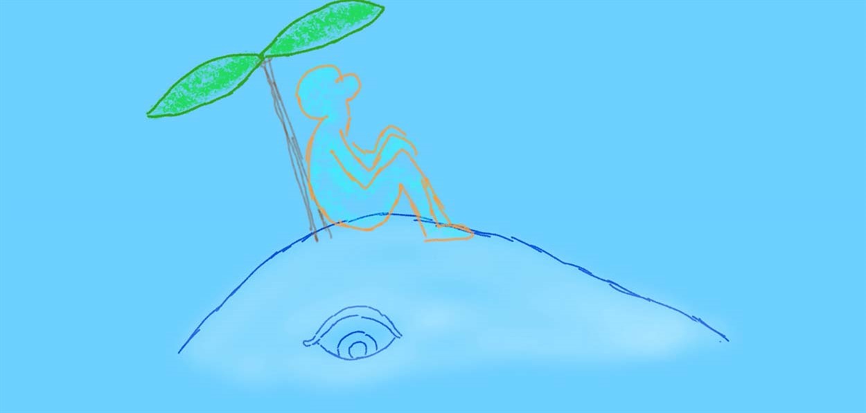Island Hopping 