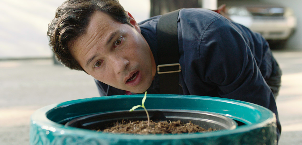 Soil 