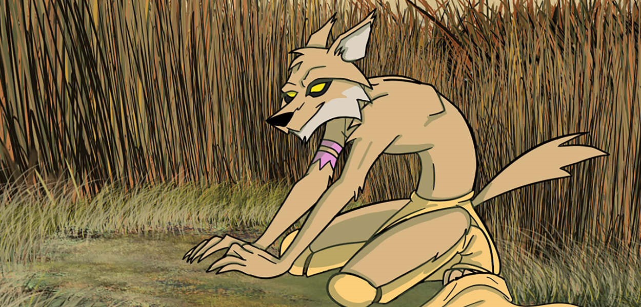 Coyote Story 