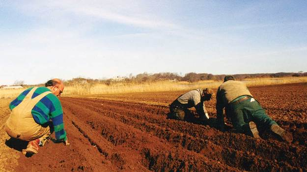 Farming Life