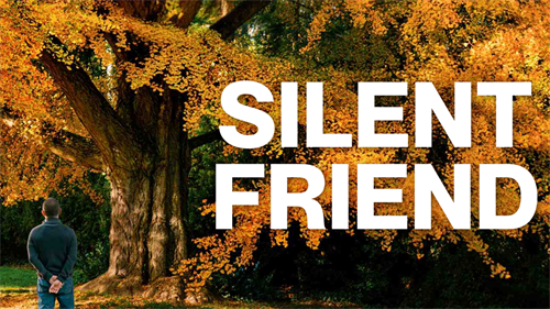 Friend_CCWeb_thumb.png