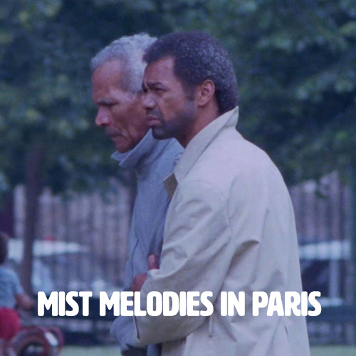 Mist Melodies in Paris 