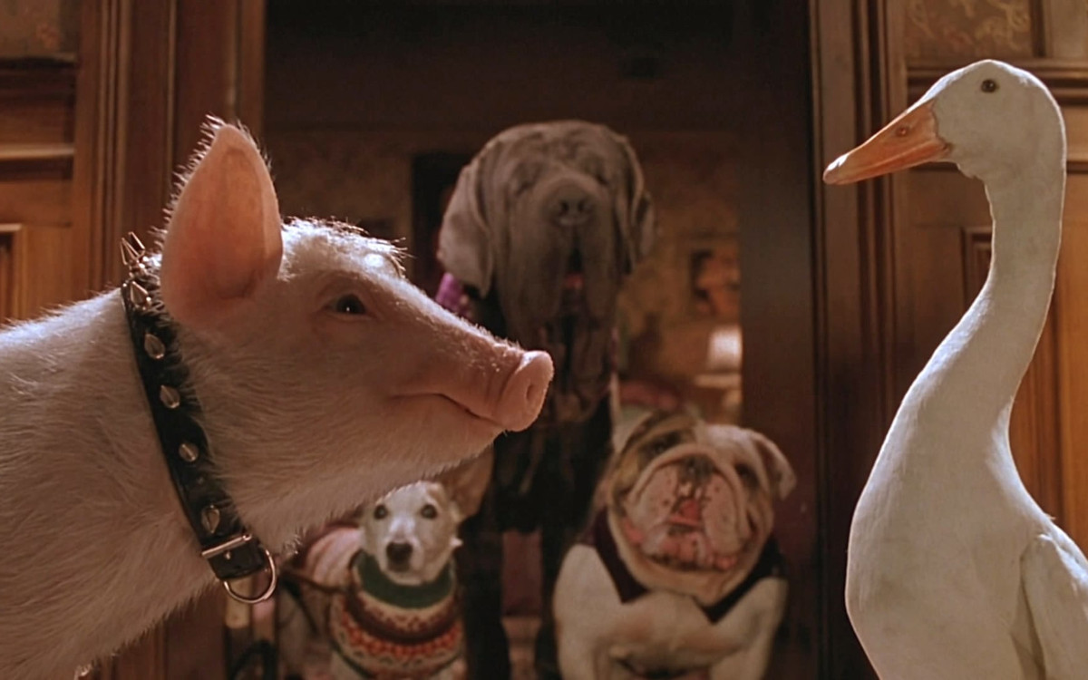BABE: PIG IN THE CITY