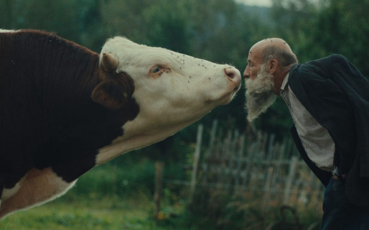 BETTER GO MAD IN THE WILD