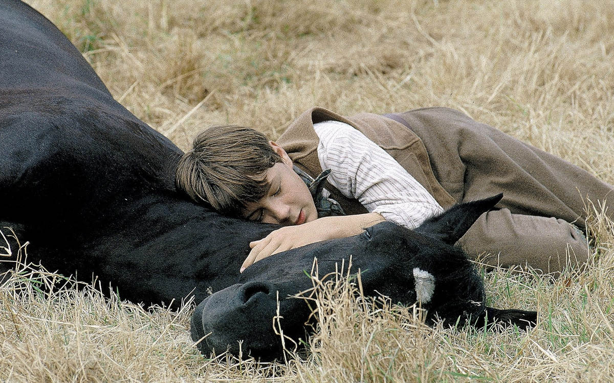 BLACK BEAUTY (1994)