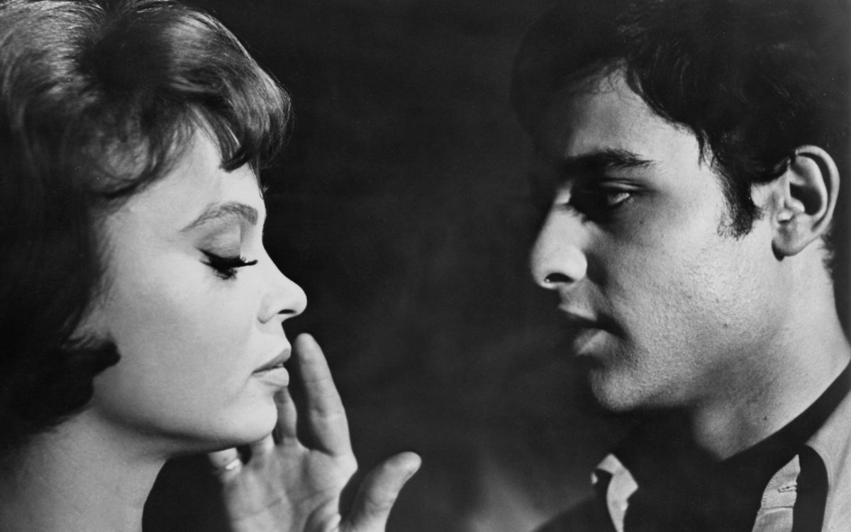 WHO KILLED TEDDY BEAR?