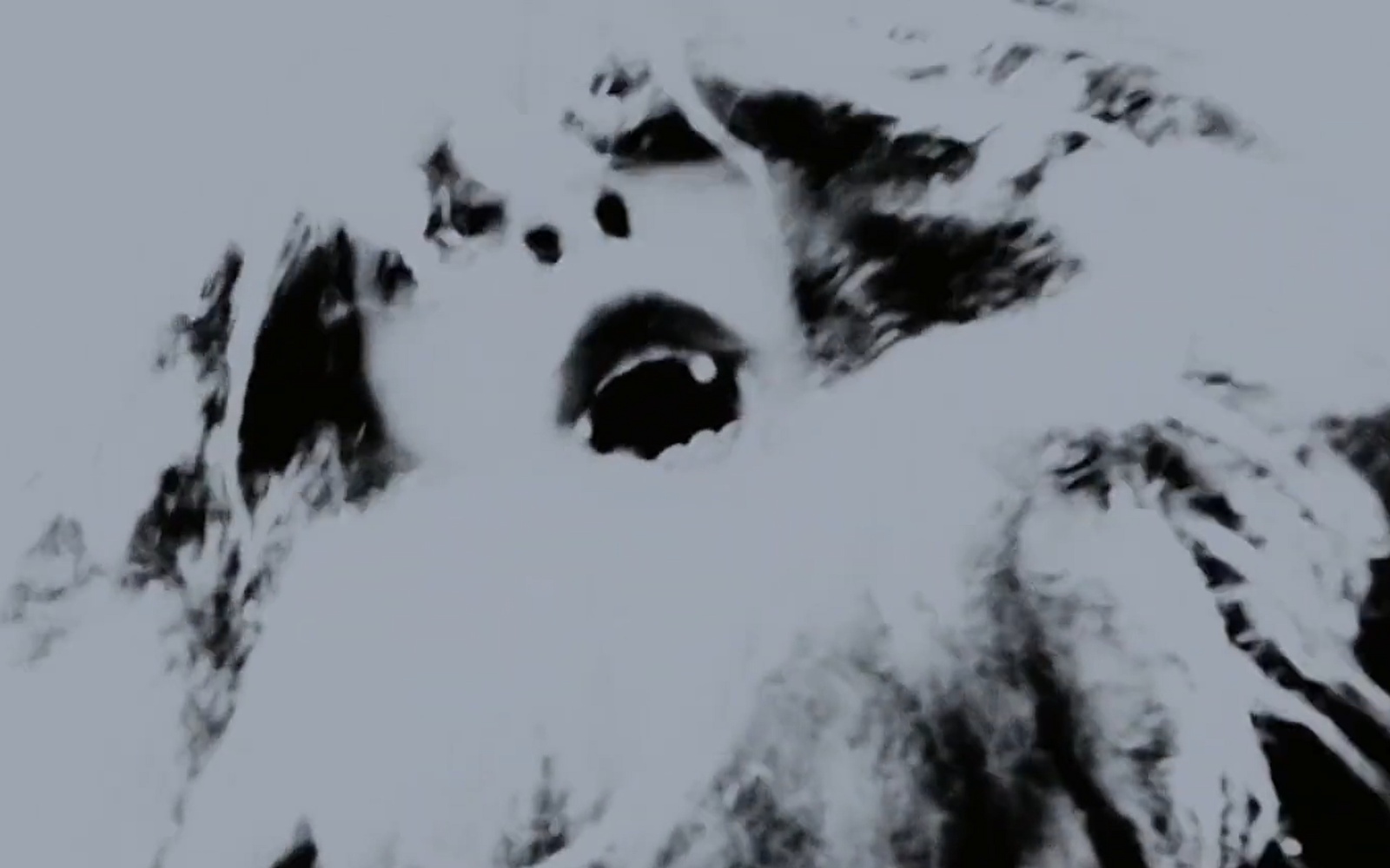 SHRIEK OF THE MUTILATED