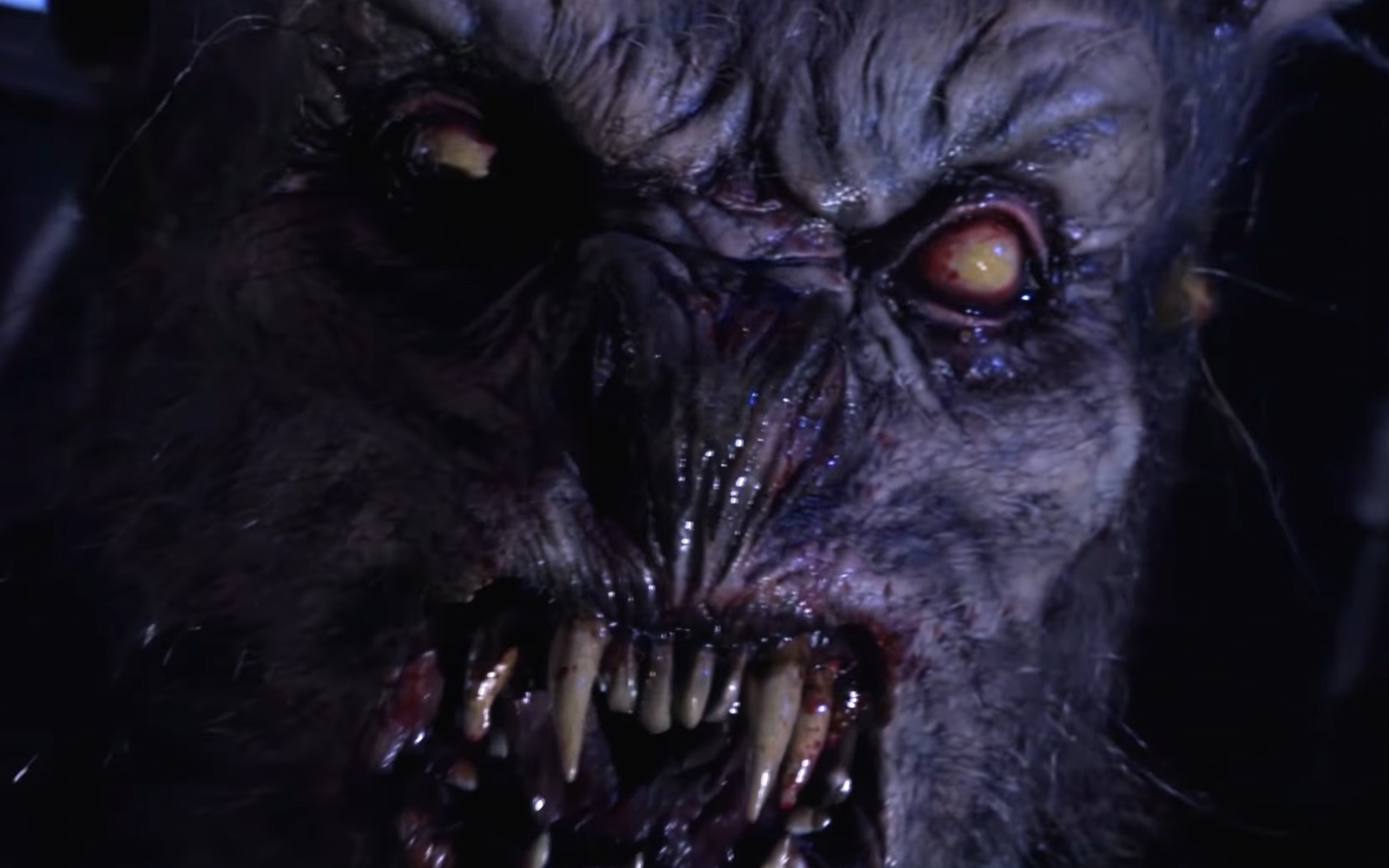 WOLF MOON RISING