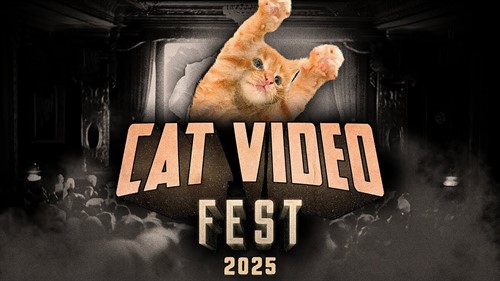CatVideoFest-2025-web_thumb.jpg