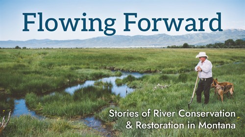 FlowingForward_FilmScreeningImage_1200x675px_thumb.jpg