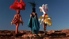 adventures-of-priscilla-queen-of-the-desert-the_1600x775_thumb.jpg