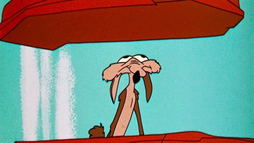 coyote_thumb.jpg