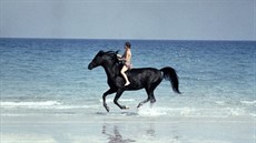 the-black-stallion_thumb.jpg