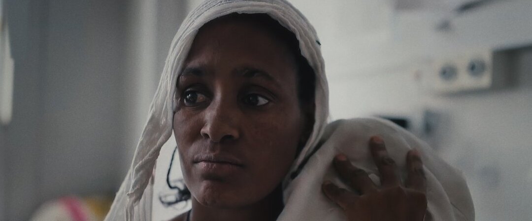 http://www.michtheater.org/ - Woyane x Nebsie: A Double Feature ...