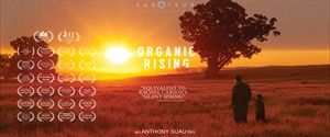 organic_rising_1080x450_thumb.jpg