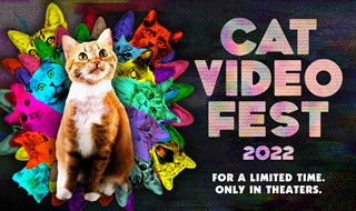 Cat-Video-Fest-2022-web.jpg