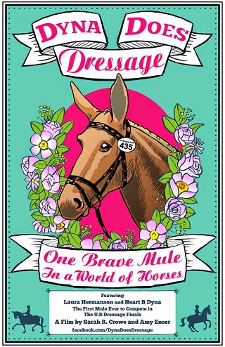 Dyna Does Dressage