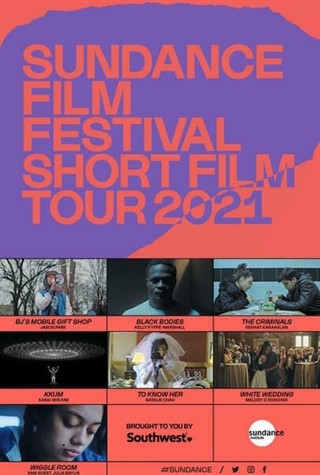 Sundance Short Film Tour 2021