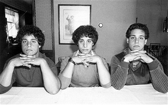 Image result for three identical strangers