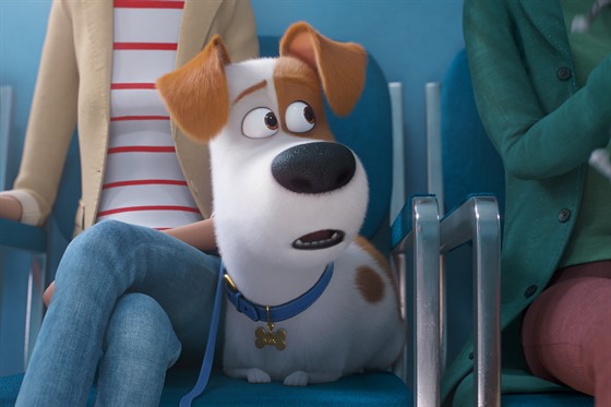 The Secret Life Of Pets 2