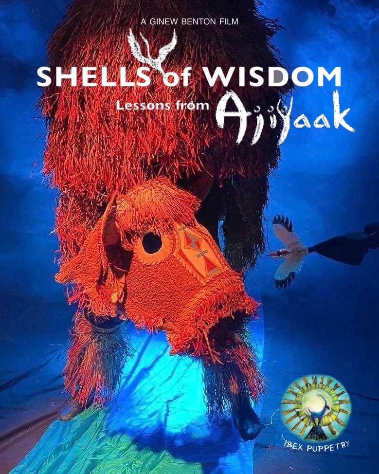 Shells of Wisdom: Lessons from Ajijaak 