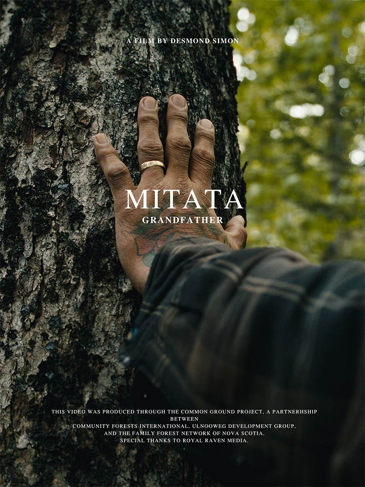 Mitata | Grandfather 